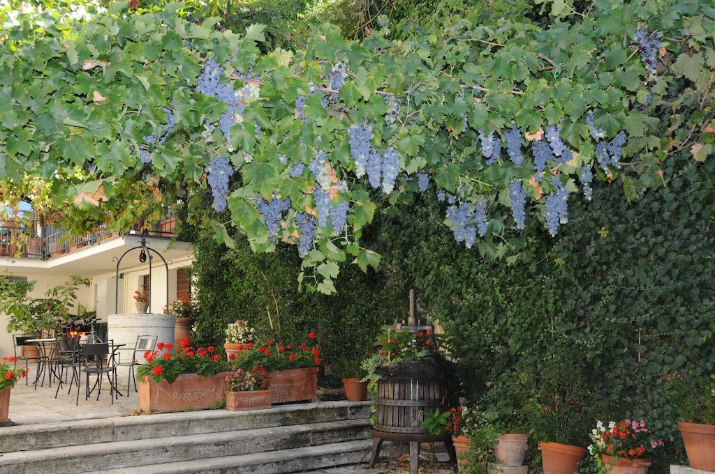 Casa Lemmi Konuk evi San Quirico dʼOrcia Dış mekan fotoğraf